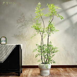 2000~OFFN[| lHϗtA tFCNO[ V|  ϗt |bgɓz[&Vzj̑ɍœK sv CeA ZW j a Ԃ    j 