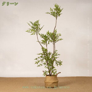3500~OFFN[| ϗtA lHϗtA sv CeAO[ tFCNO[ V| 160cm ^ CeA  A  ډB RpNg  A Vv V