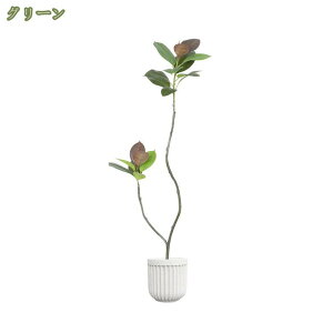 2000~OFFN[| lHϗtA tFCNO[  lHA ϗt CeAO[  ItBX   z[ x_  p Bep DIY G u t Ce