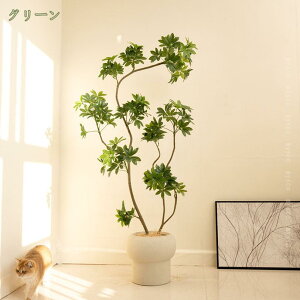 k tFCNO[ ^ ϗtA CeA lHϗtA ϗt   tFCN  c ItBX ze j JXj 蕨 Mtg ][g G C a m Q 