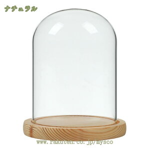 KXJo[ KXh[ fBXvC ̏ KXh[ ؎ AjtBMA RNV W _XgJo[ tBMA Ebhx[X 360x fBXvCP[