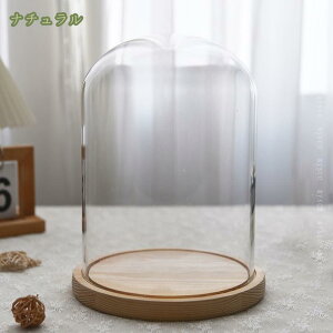 500~OFFN[| KXh[ h[ ؐx[X RNV tBMA KXJo[ P[LJo[ WpP[X H|i[ ANZT[ fBXvC f[  fB