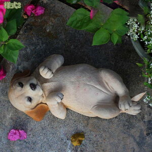 1000~OFFN[| K[fjOG u ̃IuWF   Aj} K[f G IuWF  킢  Jg[G CeA i I[ig ϋv ό