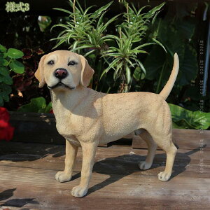 K[fjOG u ̃IuWF   Aj} K[f G IuWF  킢  Jg[G CeA i I[ig ϋv ό  x_ 