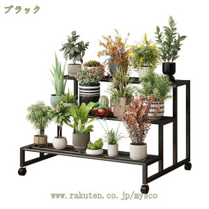 300~OFFN[| t[X^h  O K[fX^h LX^[t ړȒP ʋC 萫 K[fjOI v^[bN K[fbN 2/3i ԒuI |bN Aؔ