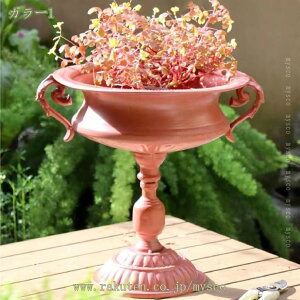 1000~OFFN[| t[X^h ϗtA ACA u v^[X^h AؔX^h t[ bN  ԑ AI  k  K[fjO O  AeB[N