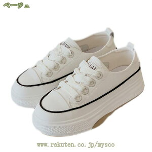 1000~OFFN[| Xj[J[  fB[X   [Jbg ɂ ₷ V[Y [XAbv Xj[J[ \[ r    JWA 