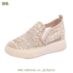 777~OFFN[| Cq[Xj[J[ fB[X Xb| t[ ʋC r V[NbgV[Y  IV K vbgtH[ 6.5Z` gAbv ʊw ʋ _炩 J