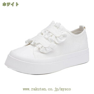 fbLV[Y  EH[LO xN fB[X [t@[ Ōt r y Xj[J[ ^ EH[LOV[Y JWA X|[cV[Y ʋC W Ȃ 