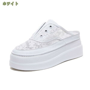 300~OFFN[| ~[ ƂȂ Xj[J[ fB[X Xb| [t@[ T{ EH[LOV[Y ʋC y V[Y Xj[J[ fB[X y L Xb|