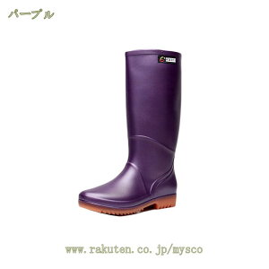 1000~OFFN[| Cu[c fB[X C  ubN Sh J̓  Vv O  C o[u[c 傫TCY J Jp Lv AEghA K[fjO _