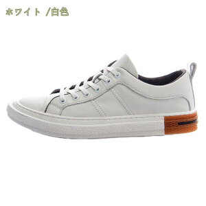 1000~OFFN[| AEghA XP[g{[hV[Y Y EI[LOV[Y WjA Xj[J[ JWAV[Y [Jbg JWA ~ ϖՐ Ȑ RtH[