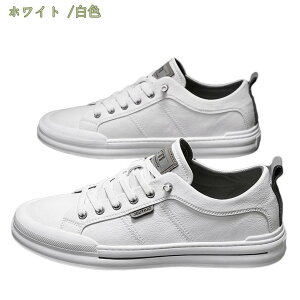 777~OFFN[| EI[LOV[Y Y WjA Xj[J[ v JV fbLV[Y n AEghA [XAbv fbLV[Y hCrOV[Y Xj[J[ C 