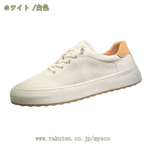 1000~OFFN[| gbLOV[Y JWA Y XP[g{[hV[Y fbLV[Y ʋC 傫TCY  AEghA n y [XAbv [Jbg JWA