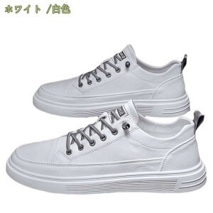 y Xj[J[ Y tFCNU[  V[Y [Jbg C ʋ ʊw jp  Sn EI[LOV[Y Y WjA Xj[J[ [XAbvV[