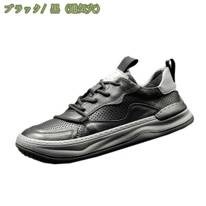 300~OFFN[| {v Xj[J[ ̌C Y JWAV[Y [XAbv Xb| Xj[J[ʊw ʋ S RtH[g WMO X|[cV[Y j AEghA W