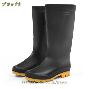 Cu[c C ܂肽݉\ y Y OCu[c CV[Y [Nu[c JC h  傫TCY n ubN  PVC y C ƌC ʋ ʊw | ނ
