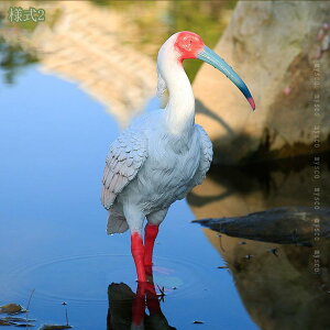 1000~OFFN[| u IuWF  Aj} I[ig  K[f CeA K[fjOG   킢 ̒u K[fI[ig Ԓd AEghA O fR[V