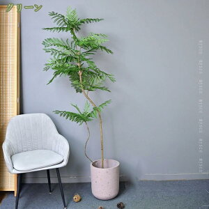 Ύ WJ_ CeAO[  ϗtA tFCNO[ lHϗtA bsv  CeA   ԉ x_ ItBX Lb` z[fR[V