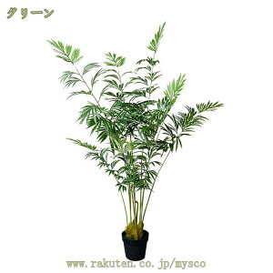 tFCNO[ Ύ hS lHϗtA ^  rO A CeA A  ϗA lHϗt sv Q̐SzȂ OlOlȂ   