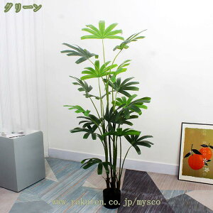 777~OFFN[| tFCNO[ ϗtA Jm`N lHϗtA sv CeA IV CeAO[ Ȃ {  A L R A  