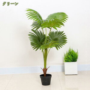 tFCNO[  ϗA lHϗt ϗtA  Vv ItBX  CeA ^  lH j ̓ sv sv rO  zj ԕ 