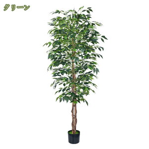 1000~OFFN[| lHϗtA Վ tFCNO[  CeA   L  X ϗtA A ^  A JtF 썑 gsJ rO Lb` G