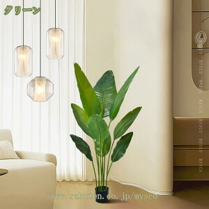 777~OFFN[| lHϗtA l̖ tFCNO[  CeA   L  X ϗtA A ^  A JtF 썑 gsJ rO Lb`