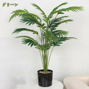 500~OFFN[| AJV CeAO[  ϗtA tFCNO[ lHϗtA bsv  CeA   ԉ x_ ItBX Lb` z[fR