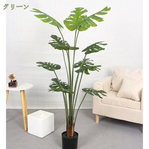 777~OFFN[| Xe Ύ ϗtA  CeA L R hJr tFCNO[  A JtF  rO Lb` Mtg 蕨 j zj J