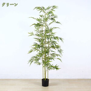 777~OFFN[| tFCNO[ Ύ | lHϗtA ^  rO A CeA A  ϗA lHϗt sv Q̐SzȂ OlOlȂ