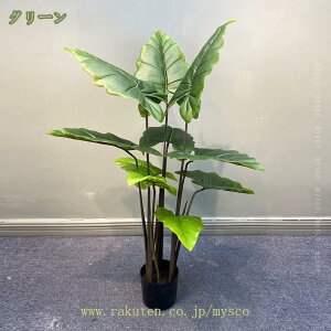 1000~OFFN[| tFCNO[ Ύ Xe ^  ϗtA PiCeA lH A[eBtBVO[ RɌ`𒲐\ ܂肽   r