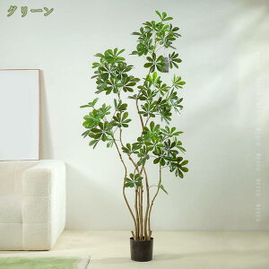 pL tFCNO[ ^ ϗtA tFCN A  CeA lHϗtA A 킢 IV L R CeAO[ X GgX c ItBX 