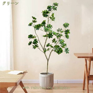 tFCNO[ ^  lHϗtA  CeA A L rO  i` JXj A  j zj t }  Ύ } sv 