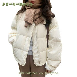 1000~OFFN[| _ER[g fB[X V[g ݂Ȃ  fB[X_E EgCg Wp[ Ci[_ER[g tH~ _EWPbg g h _ I