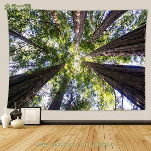 300~OFFN[| ^yXg[ x_[ Ǌ| p[eB[ @\t@ubNpi z  k  ̑ J[e ͗lւ rȌ CeA 