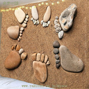 300~OFFN[| ^yXg[ R[q[̃K g @\ 唻 t ÓT wiz LC   v[g TvCY NVbN Cuwi _ CeA 