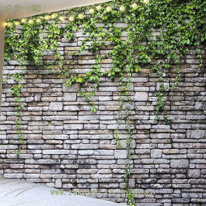 500~OFFN[| ^yXg[ R[q[̃K g @\ 唻 t ÓT wiz LC   v[g TvCY NVbN Cuwi _ CeA 