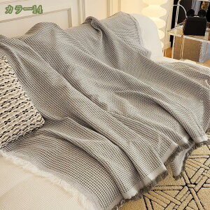 500~OFFN[| \t@[Jo[ 3l|\t@[ ` ThuPbg O}bg  W[V[g AEghA \t@Jo[ O 3l| 3l|p ~͂zcJo[ Ă