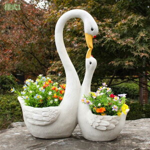 1000~OFFN[|  u K[fG   Aؔ K[fI[ig  I[ig 蕨  CeAG O  Ki o 蕨 v[g ObY z[