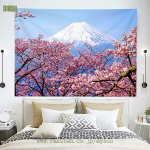 300~OFFN[| ^yXg[ sN̍̉ ʃ{P  X Ǐ 唻  CeA  @\ z  ͋C] Vj v[g |GXe ݂z ǂ