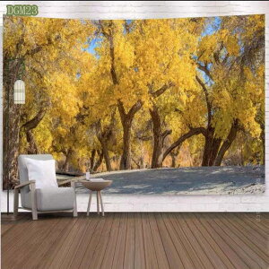 500~OFFN[| Ri ^yXg[ X  IV Ǌ| z CeA EH[A[g z|X^[  rO X Mtg Vj z Ǌ| ʐ^   X 