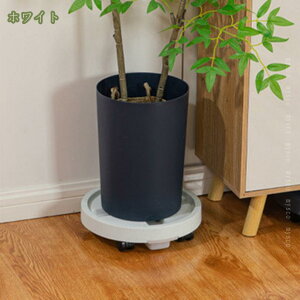  u ړԑ Aؔ  ϗtA x_ t[X^h LX^[t |bN 360°] ړ֗  O t Vv fBXvCX^h t[