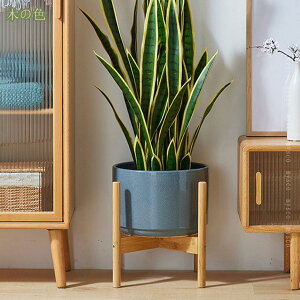 500~OFFN[| t[X^h ԑ X^h ϗtA vgX^h u t[|bg K[fjO IV VR ~̓X^h AX^h ȃXy[X fBXv