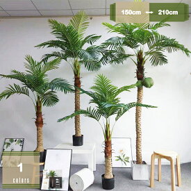 1000円OFFクーポン 人工観葉植物フェイクグリーン 熱帯の木 造花 リアル 観葉樹 消臭 抗菌 室内 屋外 ホーム 新築祝いの装飾 ヤシの木 風水 水やり不要 インテリアグリーン 大型 人工観葉樹 シンプル 南国 玄関 リビング オフィス 開店祝い 新築祝い 引越し祝い mysco