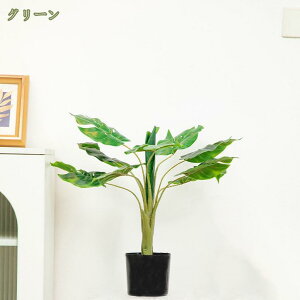 500~OFFN[| lHϗtA tFCNO[ Xe  ϗt L R  z[ Vzj X GgX c ItBX ϗA CeAO[ ͂Ȃ Q