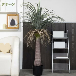 1000~OFFN[| lHϗtA tFCNO[   ϗt L R  z[ Vzj X GgX c ItBX ϗA CeAO[ ͂Ȃ Q쏜