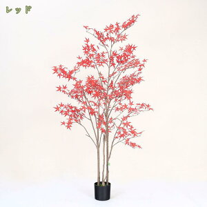 1000~OFFN[| tFCNO[  ^ A  ϗtA tFCNlHϗtA lHϗt  sv CeA ItBX rO   zj v[g 