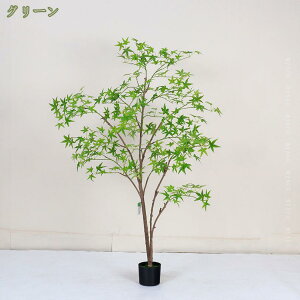 1000~OFFN[| tFCNO[  ^ A  ϗtA tFCNlHϗtA lHϗt  sv CeA ItBX rO   zj v[g 