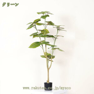 1000~OFFN[| lH ϗtA pL Ύ ^ tFCNO[ tFCN lH tFCNA CeA  O sv ͂Ȃ { JXj Vzj Mtg 